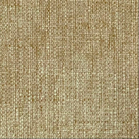 Notion Beehive