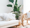 lifestyle 58