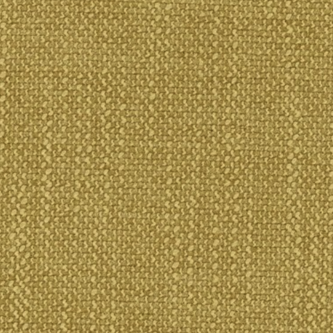 Crypton Forsythia