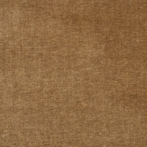 Ravina Camel