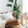 lifestyle 43